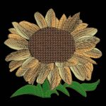 Sketch Stitch Sunflower embroidery Frotn