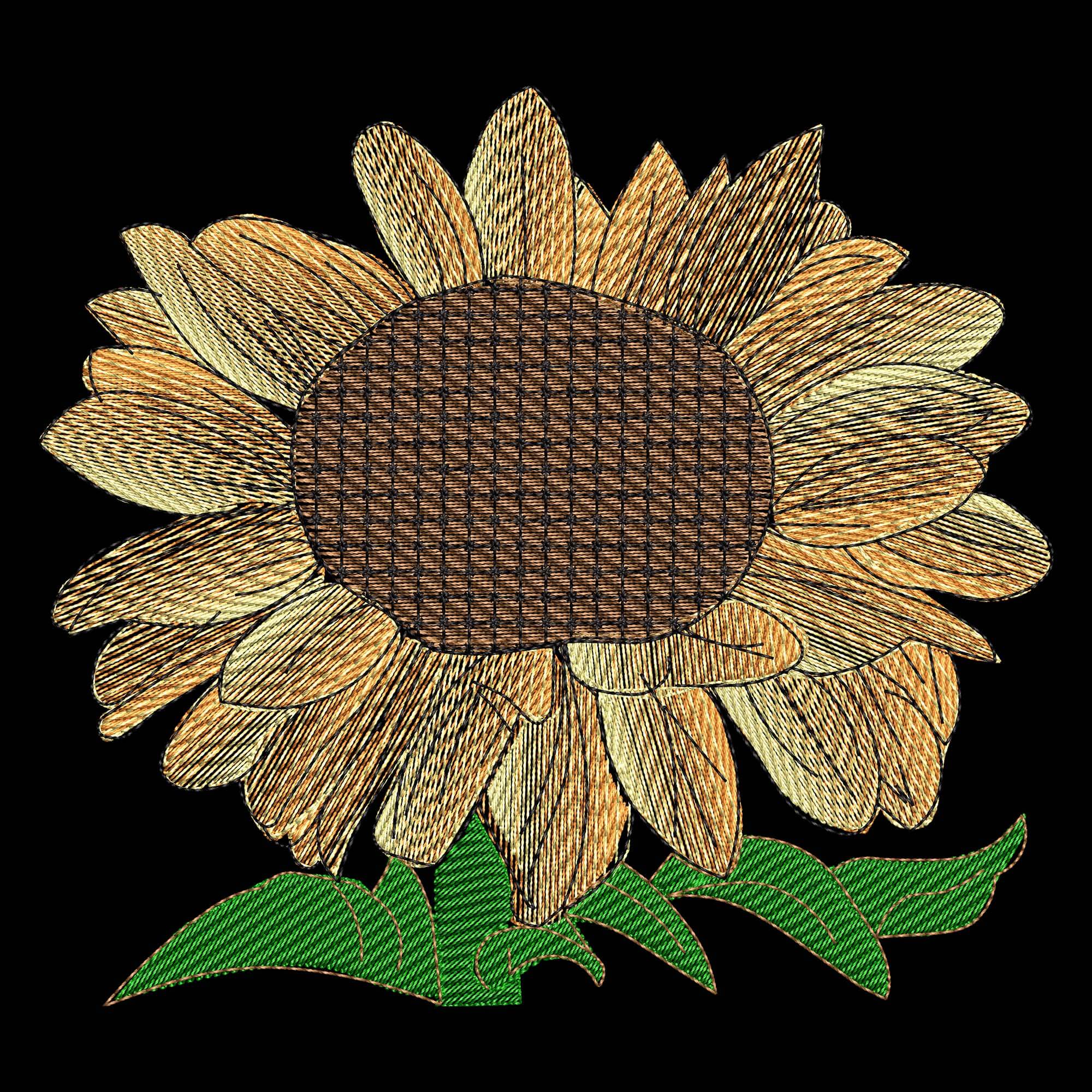 Sketch Stitch Sunflower embroidery Frotn Sketch Stitch Sunflower embroidery Frotn