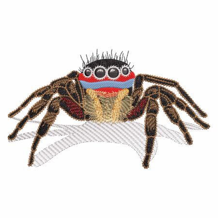Realistic Jumping Spider Fill Stitch Insect Embroidery design